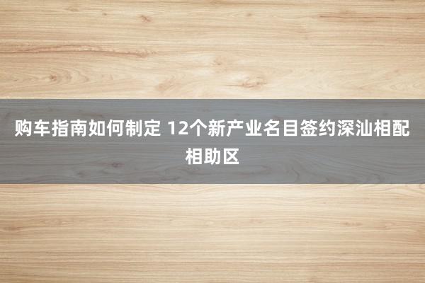 购车指南如何制定 12个新产业名目签约深汕相配相助区