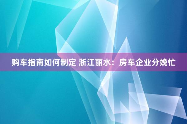 购车指南如何制定 浙江丽水：房车企业分娩忙