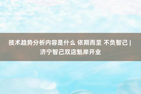 技术趋势分析内容是什么 依期而至 不负智己 | 济宁智己双店魁岸开业